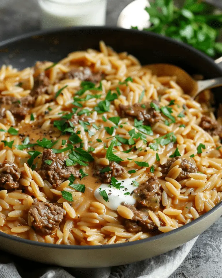 Beef Orzo with Cream Sauce